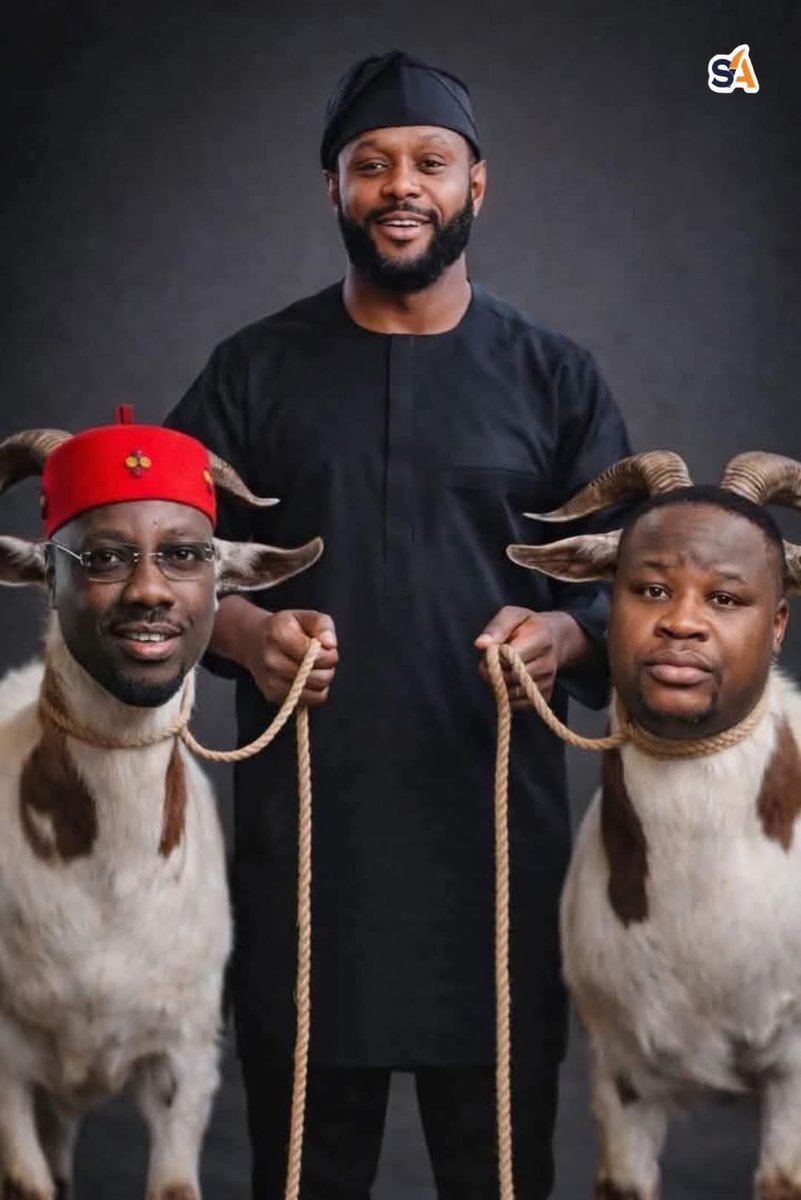 Look what Seyi has caused this two respected Igbo businessmen. 😂