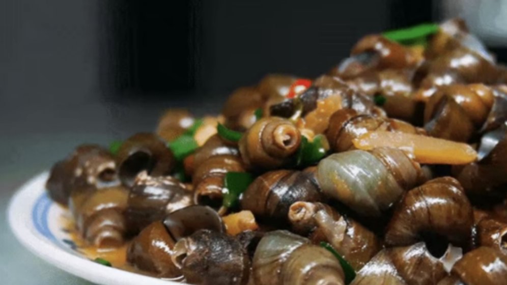 HaianNantong's tweet photo. 🥢🐌"Spring snails are as tender as goose!" In the Lixiahe water town, we are harvesting the freshest taste of the season. 🌊 A tiny delicacy that carries the big memories of our hometown.
#SpringGourmet #WaterTownLife #LocalDelicacy #TasteOfSpring #HaianEats https://t.co/uVhrPryzjQ