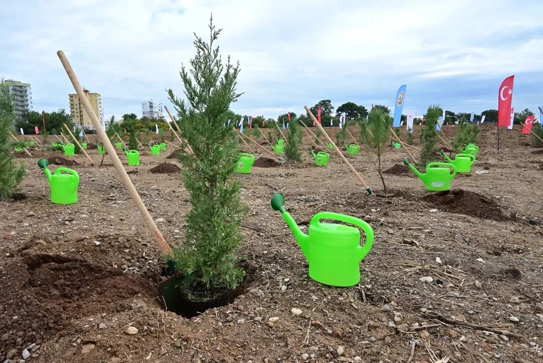Çevre ve Orman Derneği🌲🇹🇷 tweet media