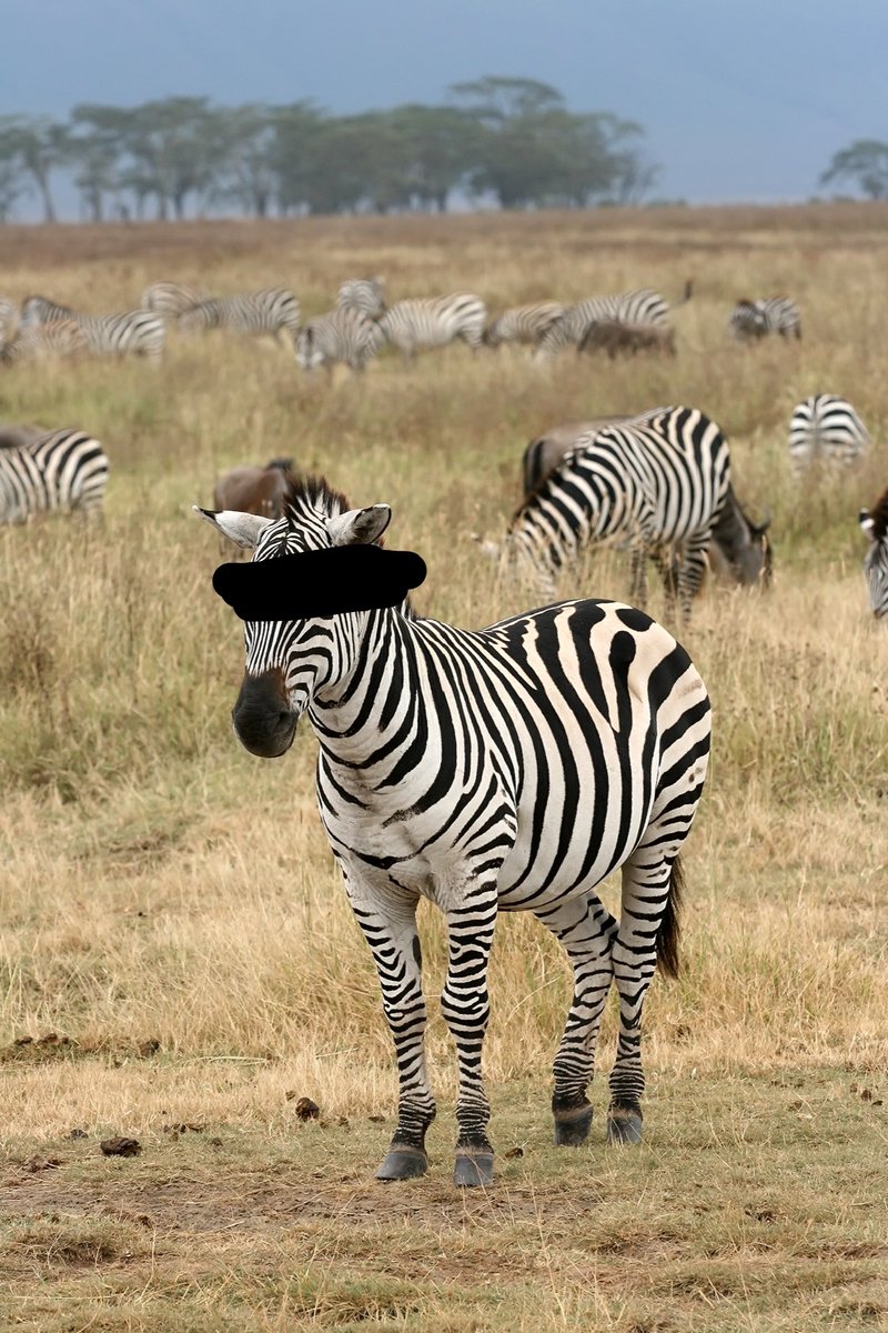 CFC_Enzo_.🫀 tweet media