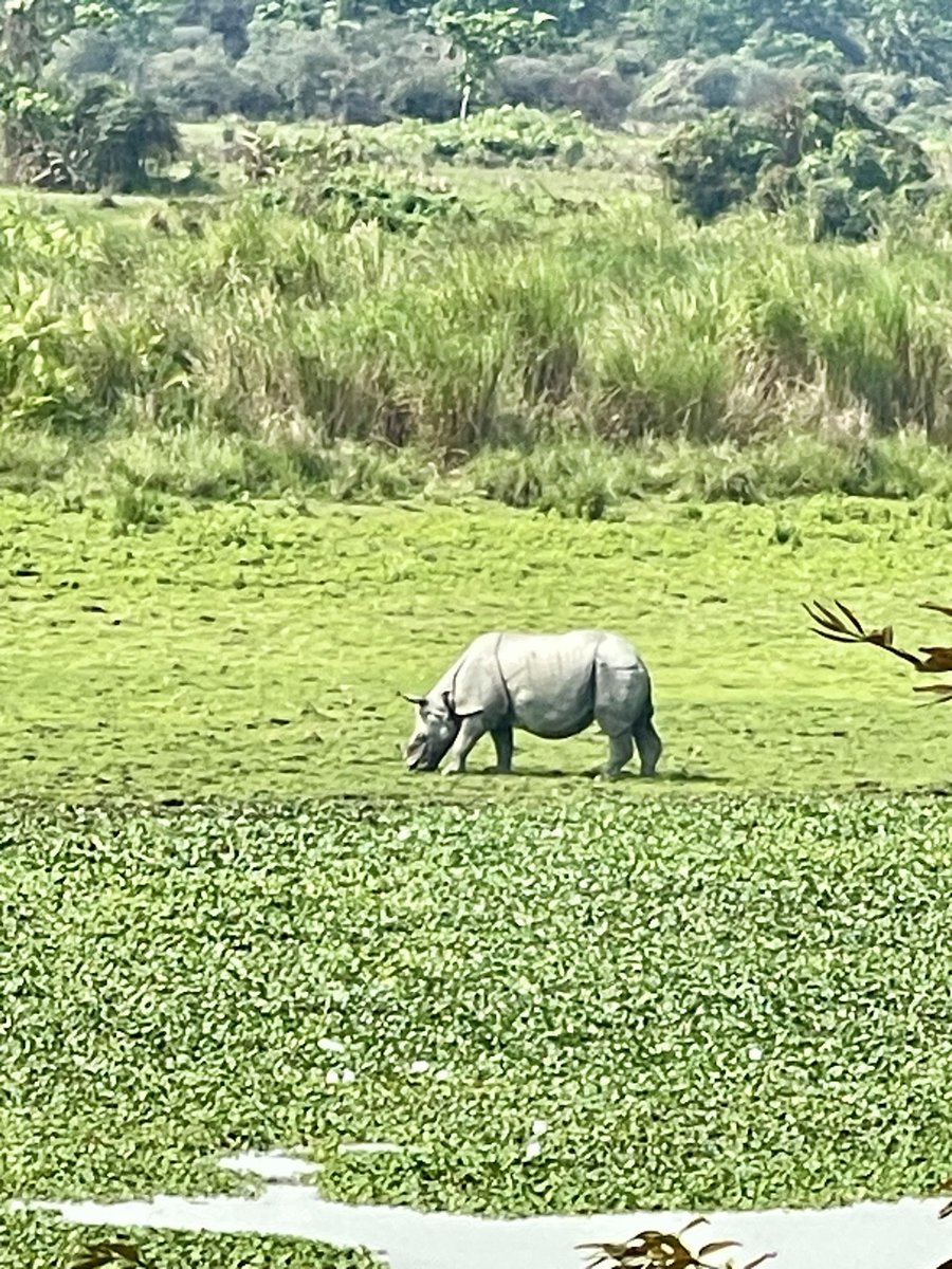 Sajjan Kumar Singh tweet media
