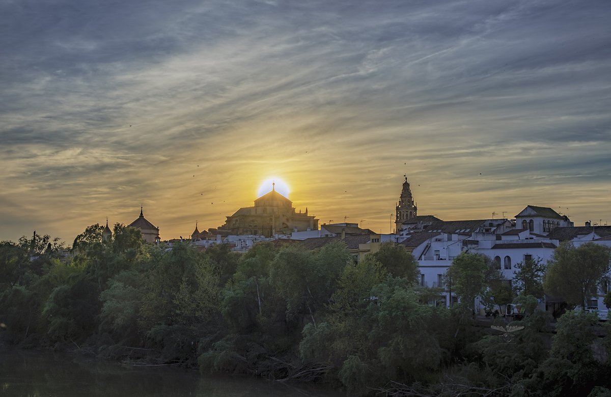 Pedro Mengual tweet media