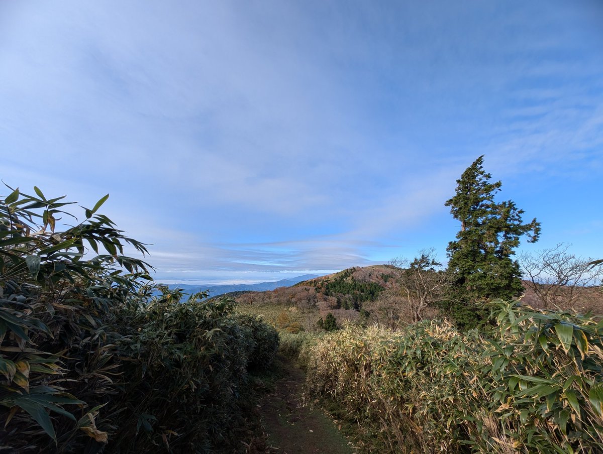 🏖️🇫🇷卍アクア卍🇫🇷🏖️ tweet media