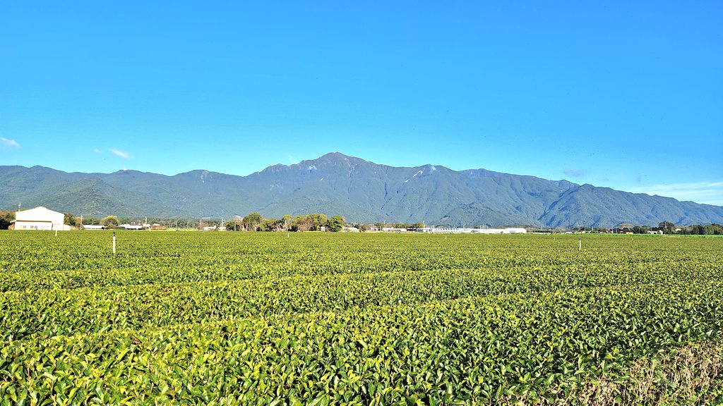 (株)カノヤ宮下製茶@鉄のメンタル tweet media