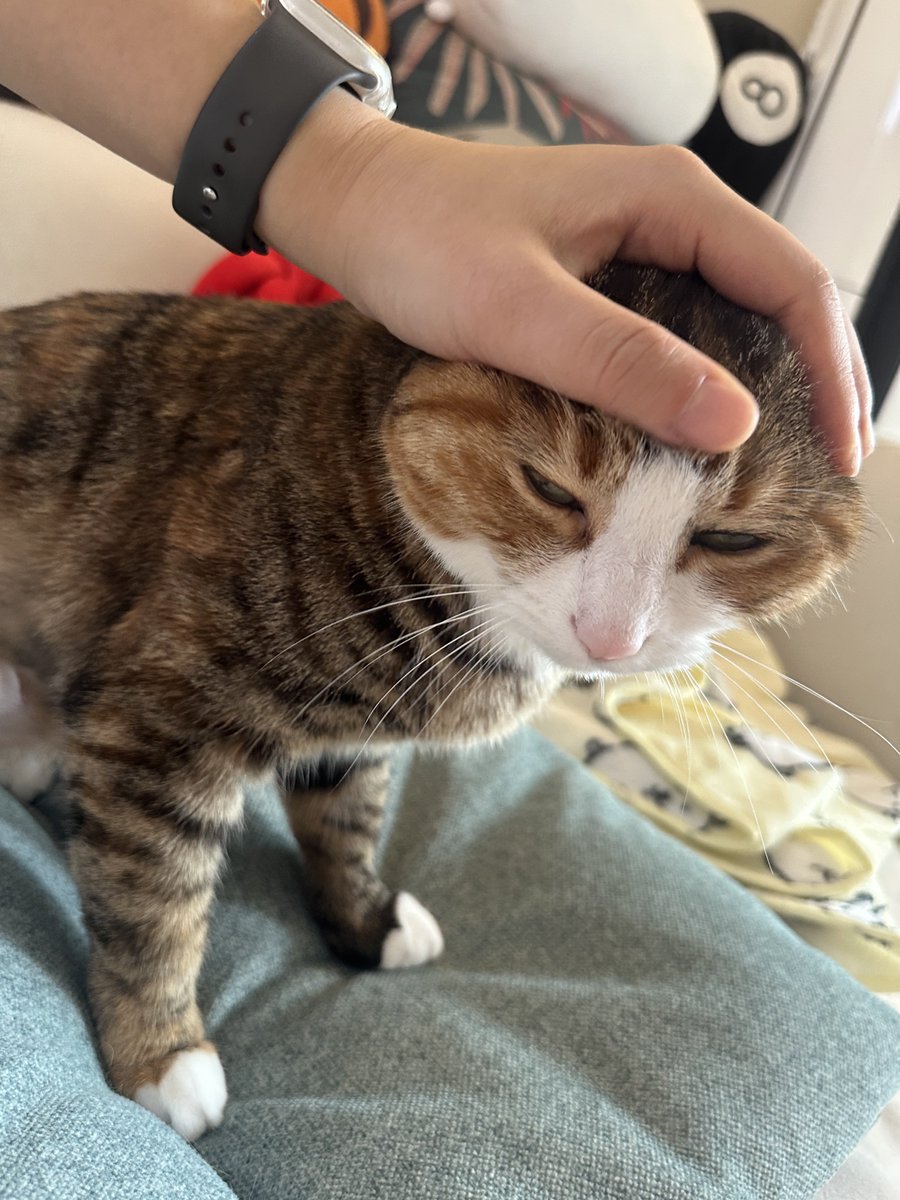 무병장수이 tweet media