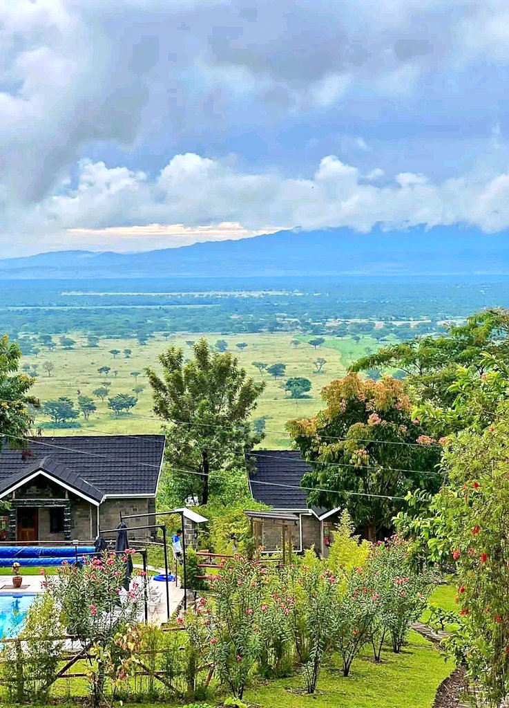 Eddie Safaris Uganda tweet media