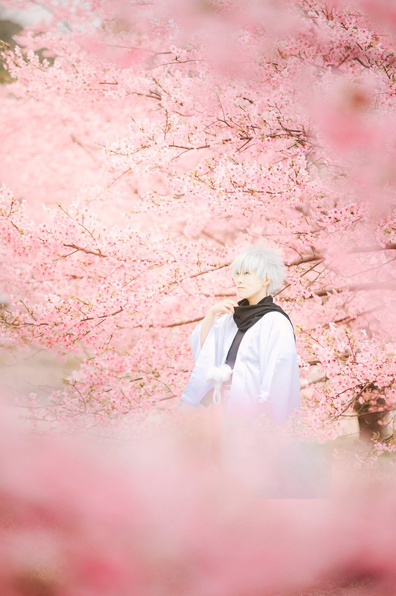 よろはん@なんばa! tweet media