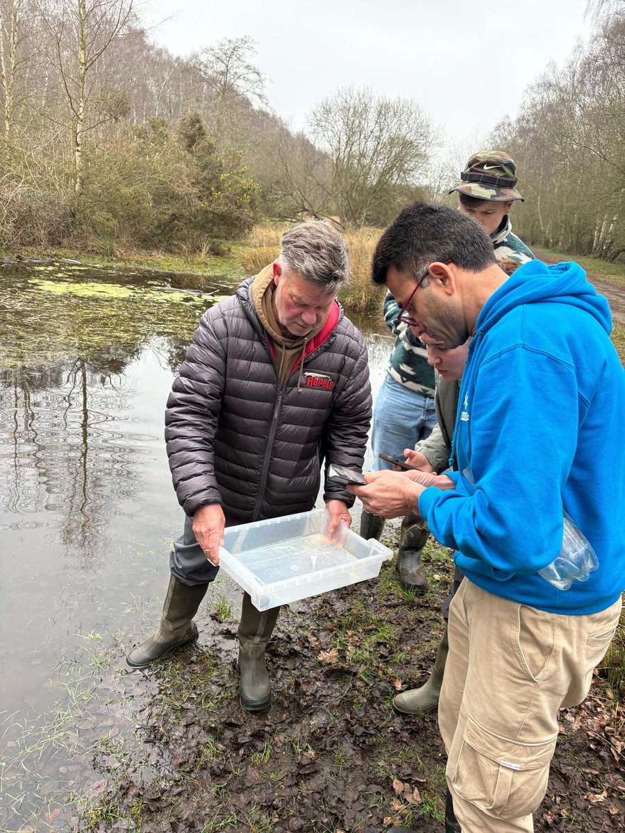 LDV_NNR's tweet photo. Great two days with @froglifers last week between our #LDV NNR Base and #SkipwithCommon - as part of their annual Great Crested Newt training courses, which involved a classroom/theory session first, followed by an evening and early morning fieldwork session on the Common π¦ https://t.co/Ns9rrCzF3t
