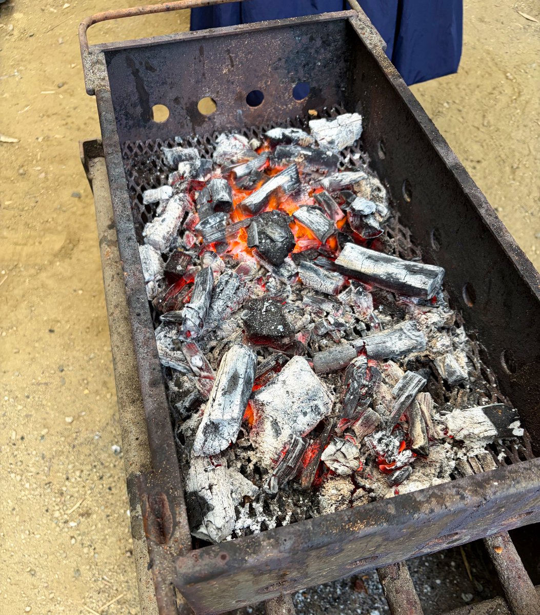 ワタリコウジ tweet media