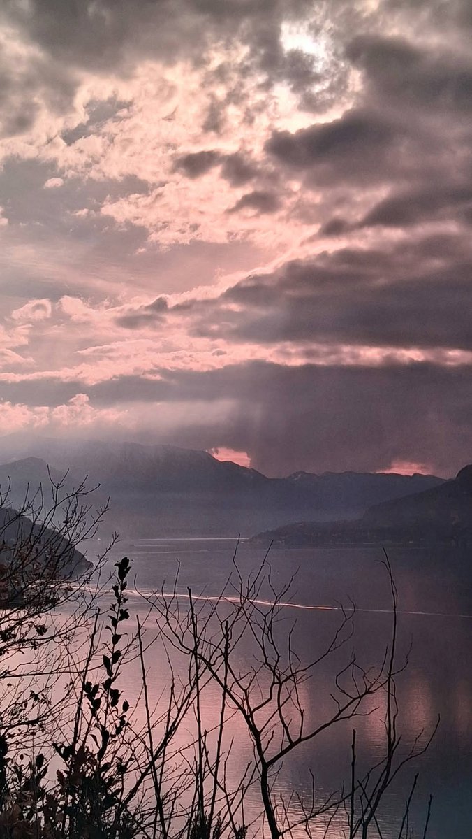 ✹Non✹Aesthetic✹ tweet media