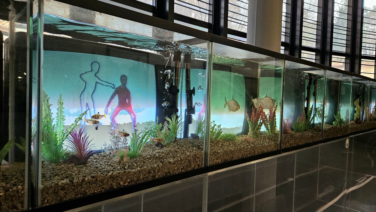 Euni 📸✏️ tweet media