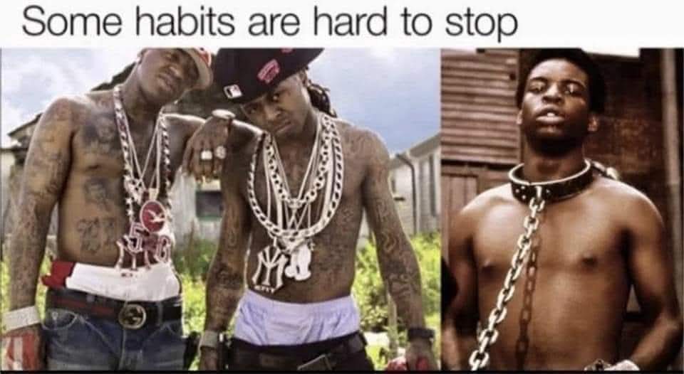 speed284504 tweet media