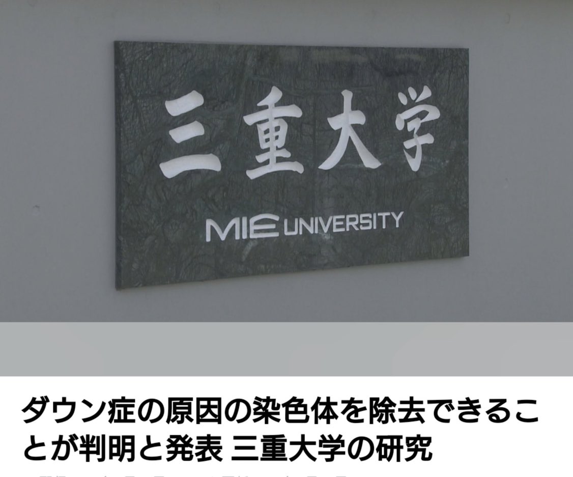 ずっと見ていたい動画 tweet media