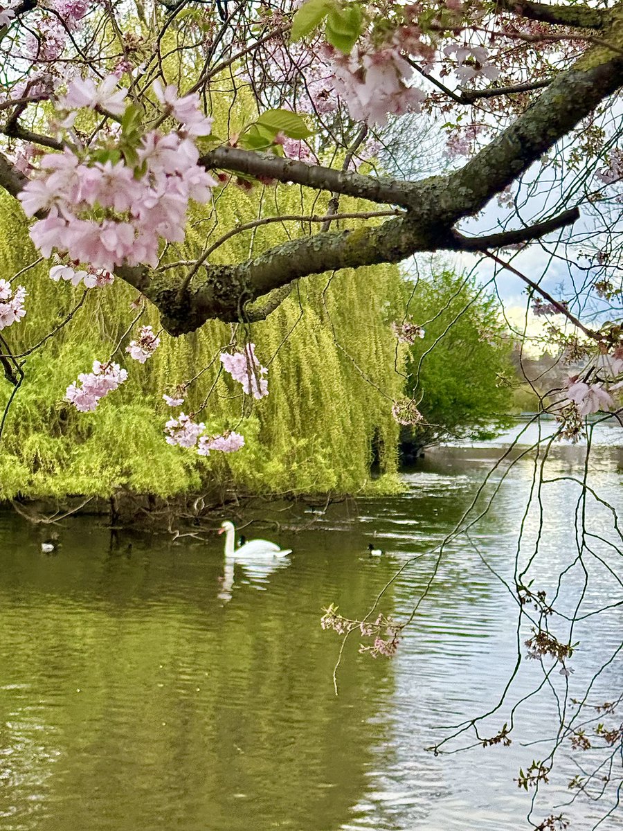 James Montgomery tweet media