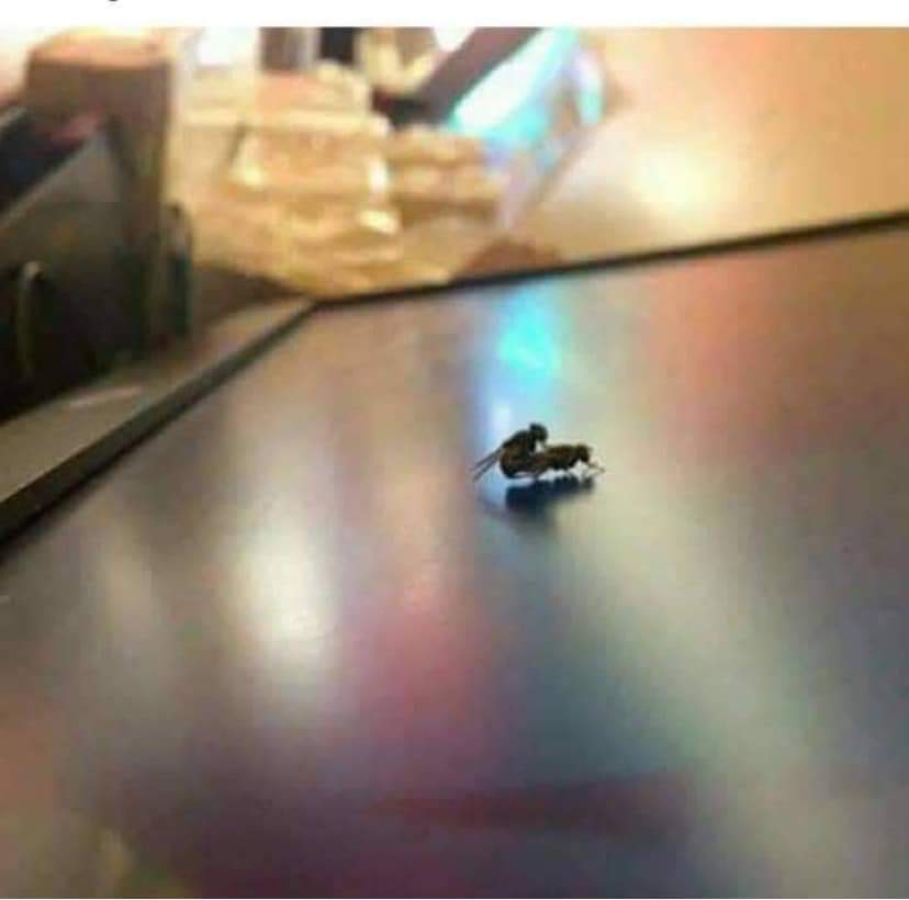 Wayne^Boney 🕊 tweet media