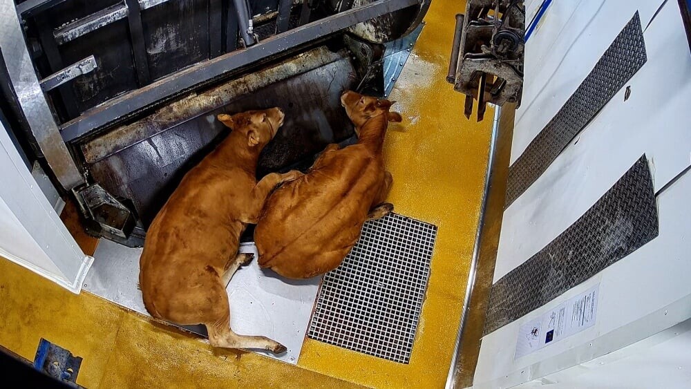 La Provence tweet media