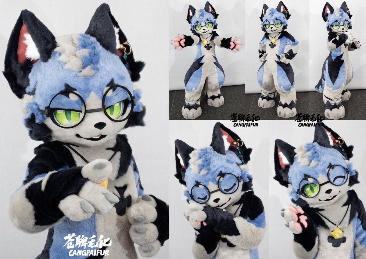 CANGPAIFUR苍牌毛化 tweet media