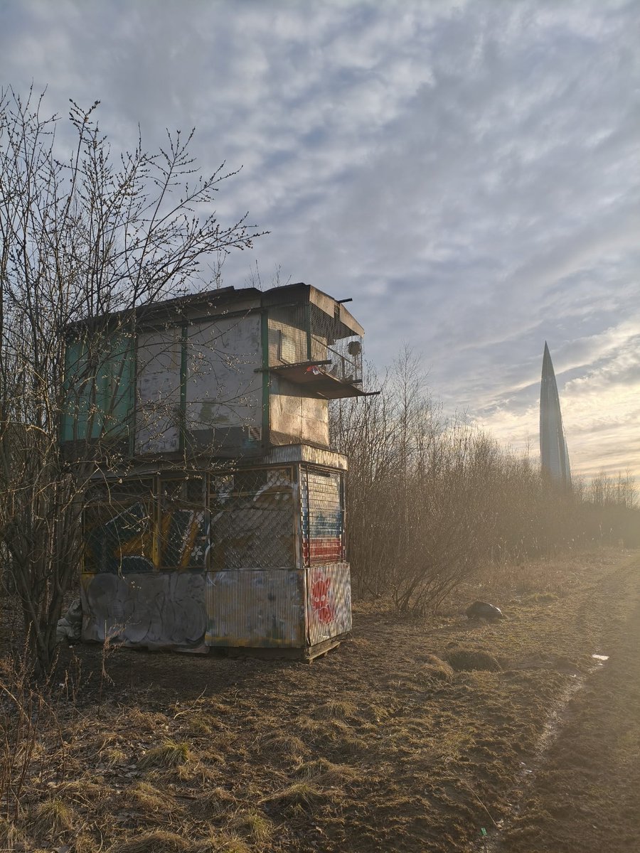 Ciconia Ridicula tweet media