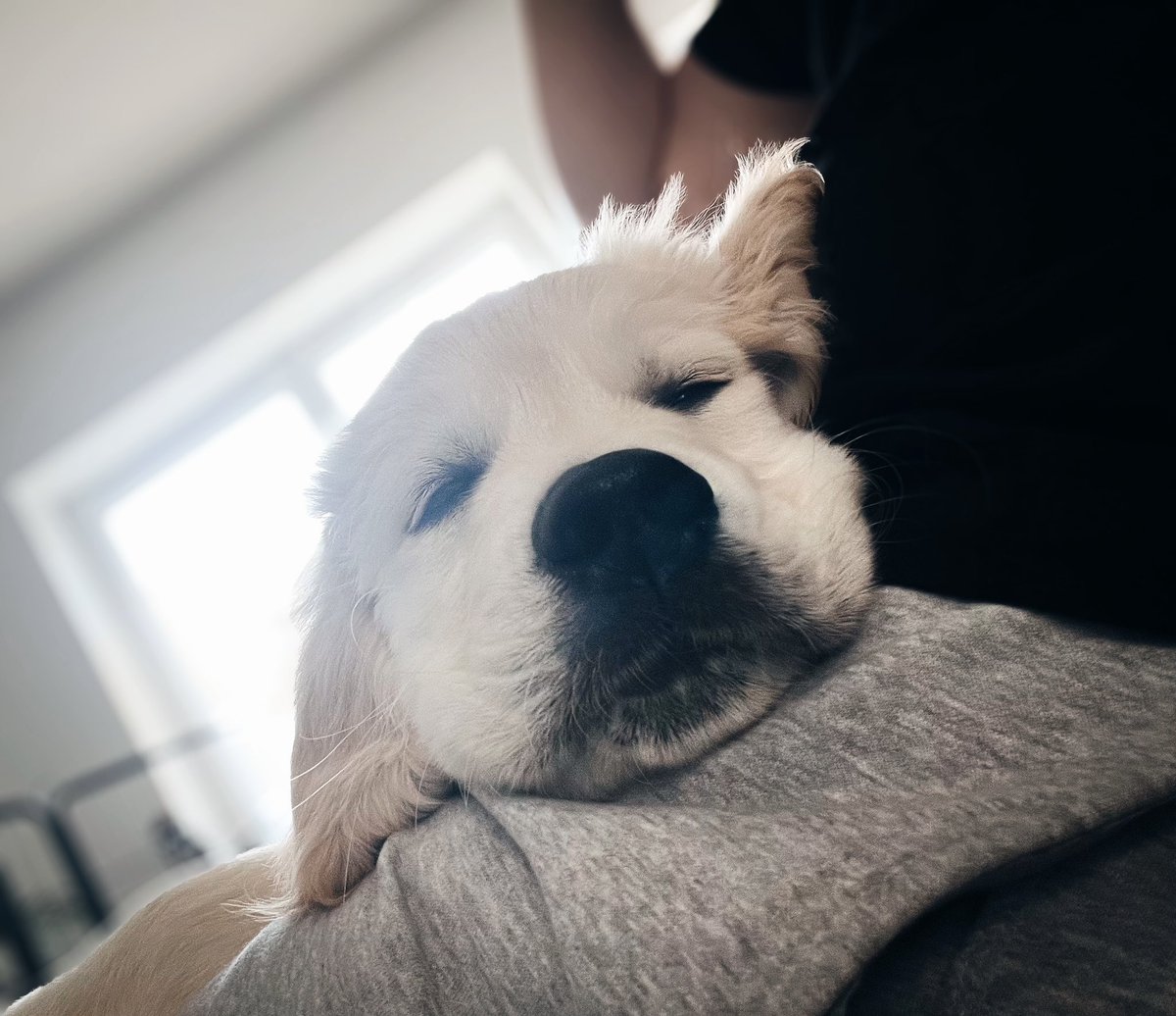 Florian Lüttgens tweet media