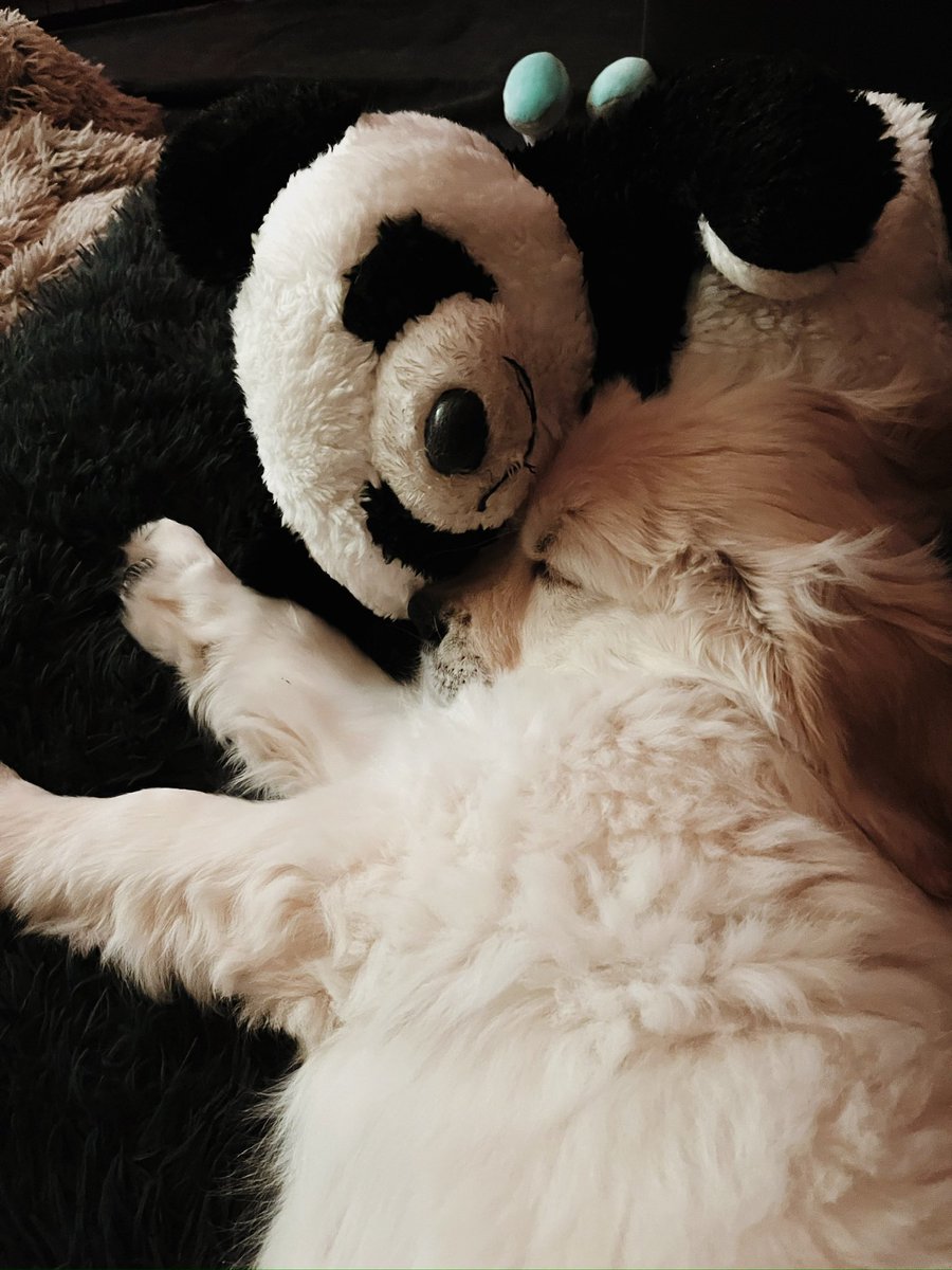 Florian Lüttgens tweet media