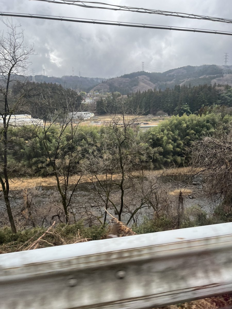 新規来年のらも tweet media