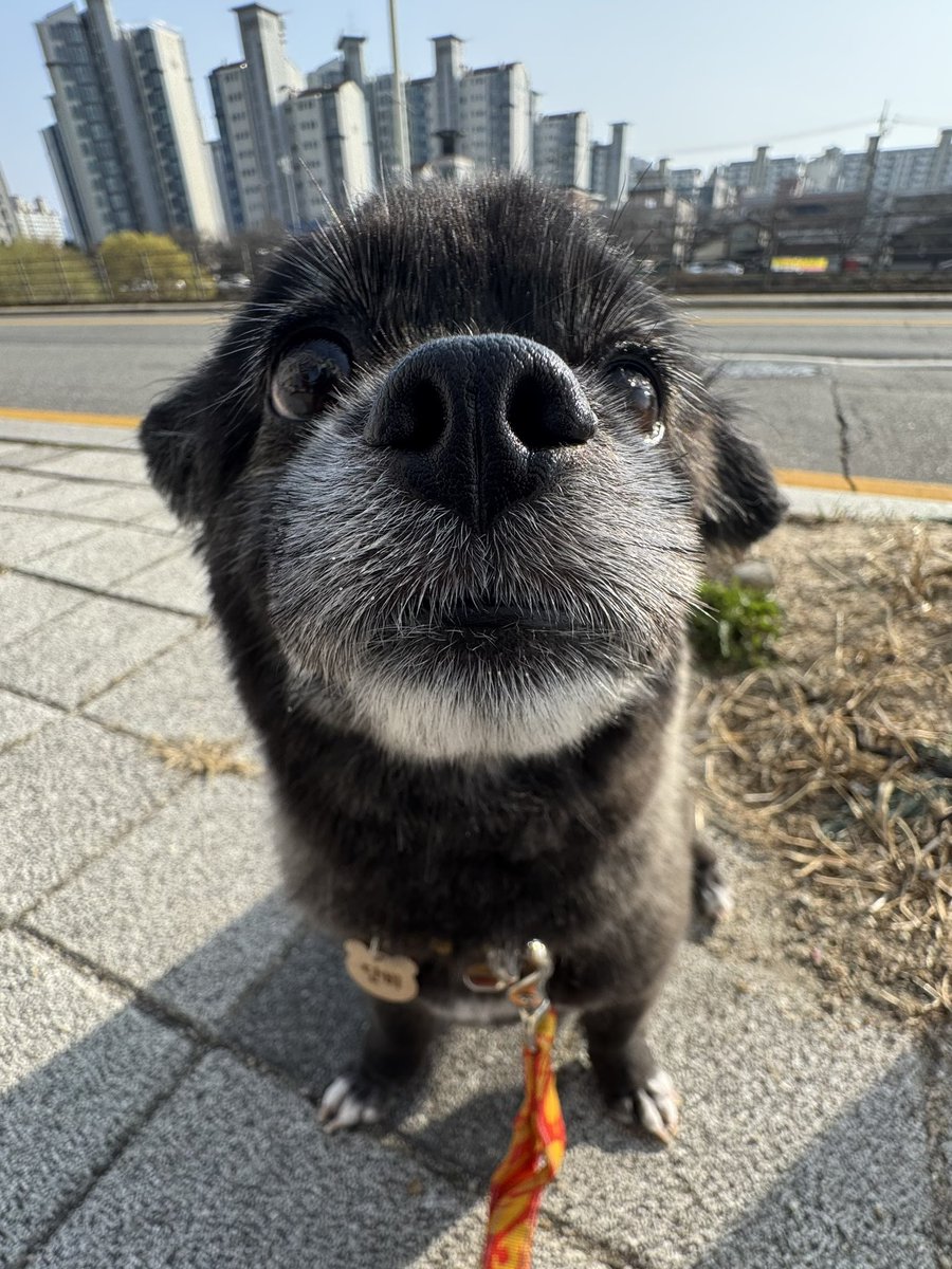 단비 tweet media