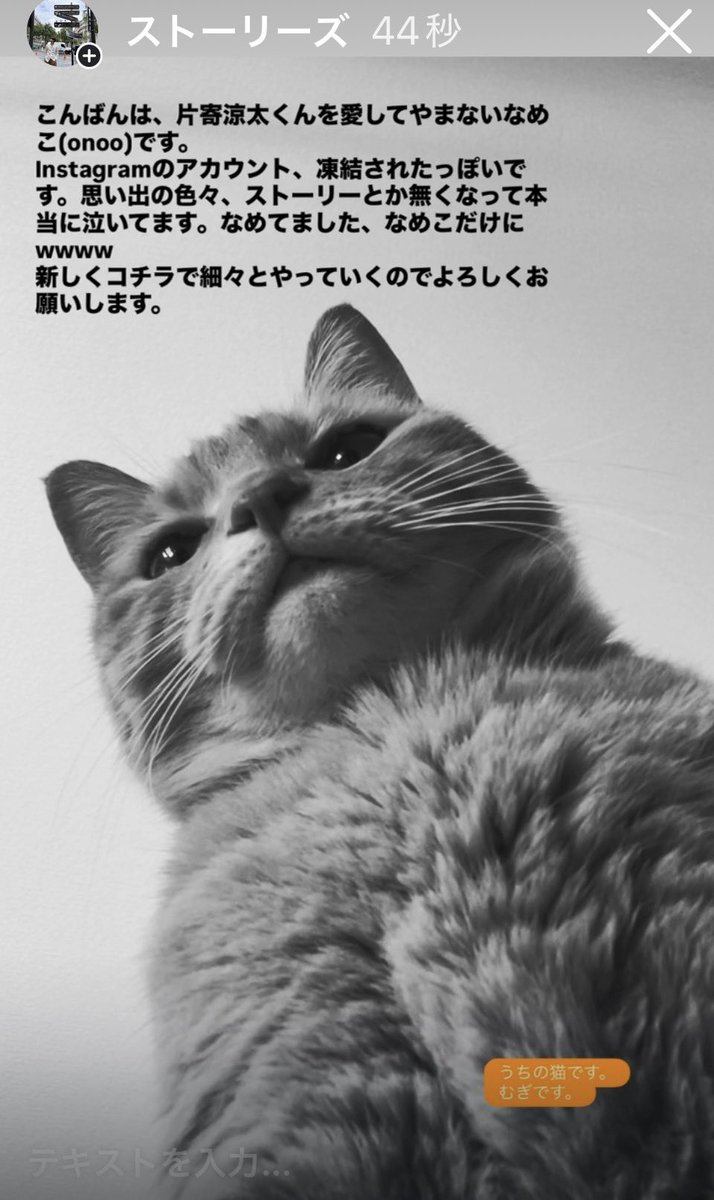 onoo(片寄涼太を拝むための垢) (@katayoseonoo) / Posts / X