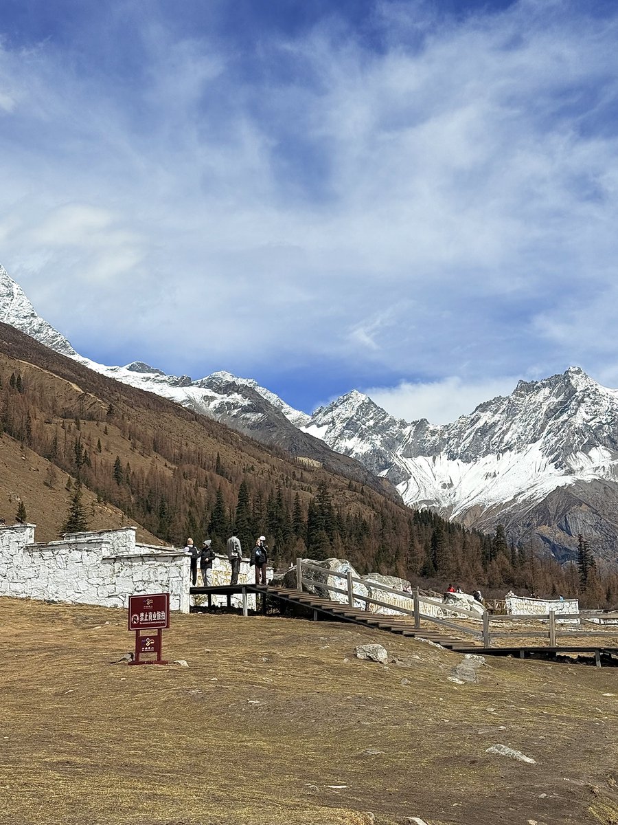 — • frequently87 tweet media