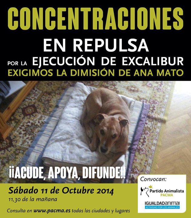 Óscar Clavería Ibánez tweet media