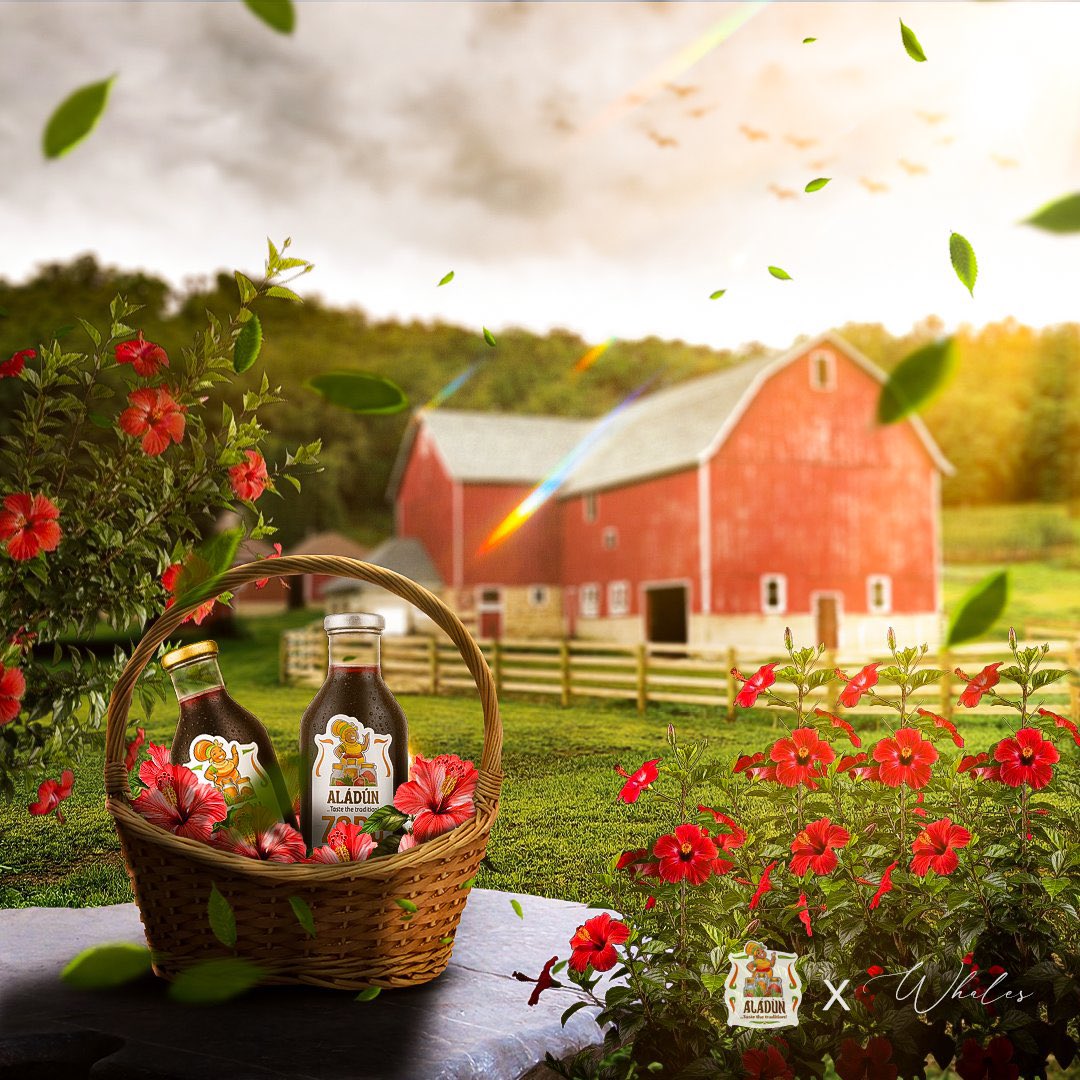 W H A L E Z tweet media