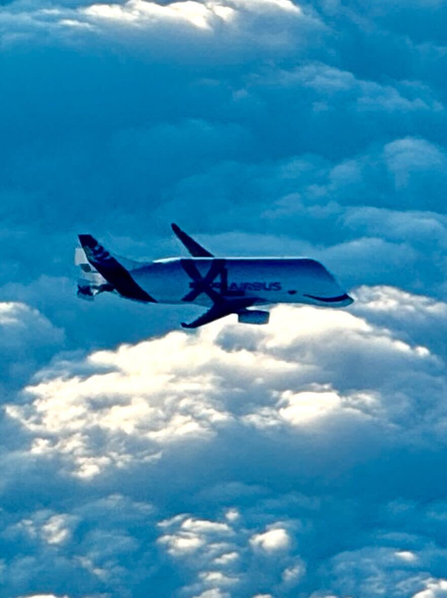 Flightradar24 tweet media