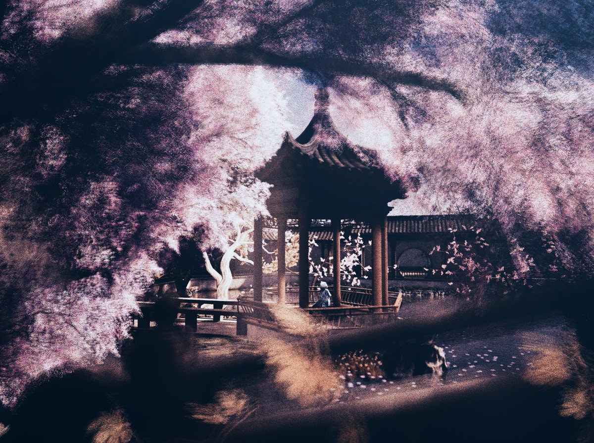 ねおぽんず (@neoponz1466) on Twitter photo 