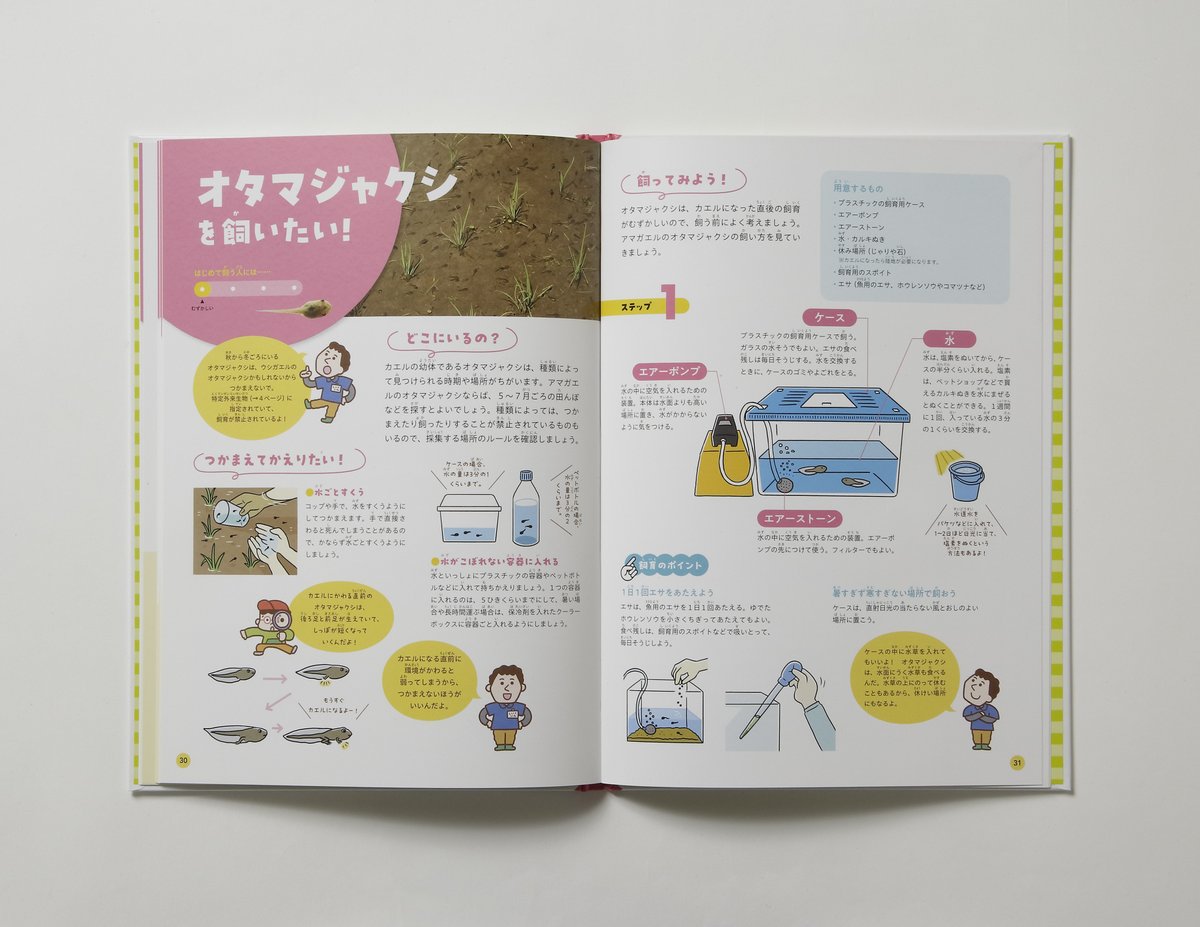 ＼足立区生物園監修の最新本📚／
知っているようで実はよく知らない「身近な生きものの飼い方」が本になりました！

「生きものが飼いたい！」そう子どもに言われた時に必見の一冊です。

seibutuen-onlineshop.raku-uru.jp/item-detail/19…

飼育に必要な道具はもちろん、お家でも学校でもすぐに役立つコツや注意点が満載！