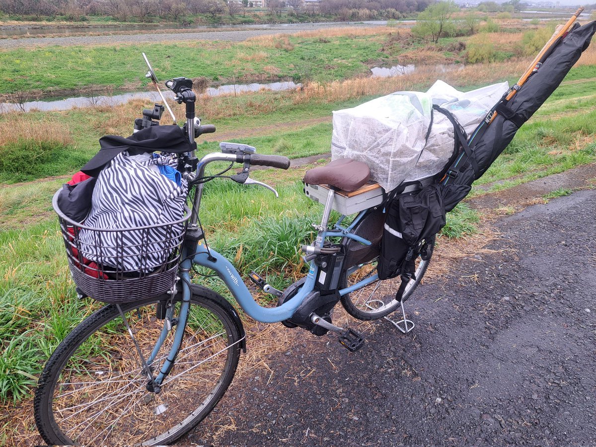 チョウチンアンコウ(♂) tweet media