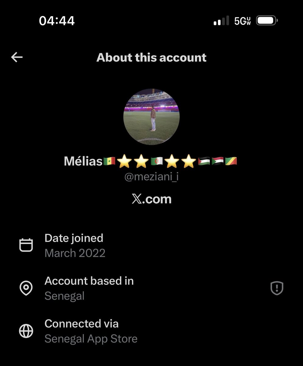 Frog on a Stone 🇺🇸 tweet media