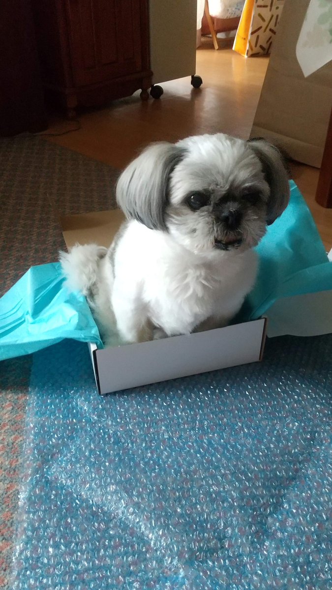 認定NPO法人HOKKAIDOしっぽの会 tweet media