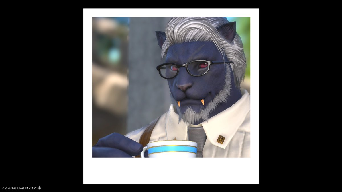 Rexs-Decker tweet media