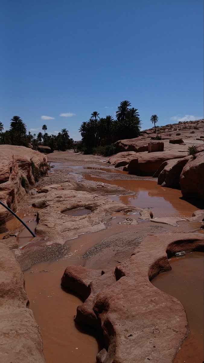 wafaaaa 🦢 tweet media