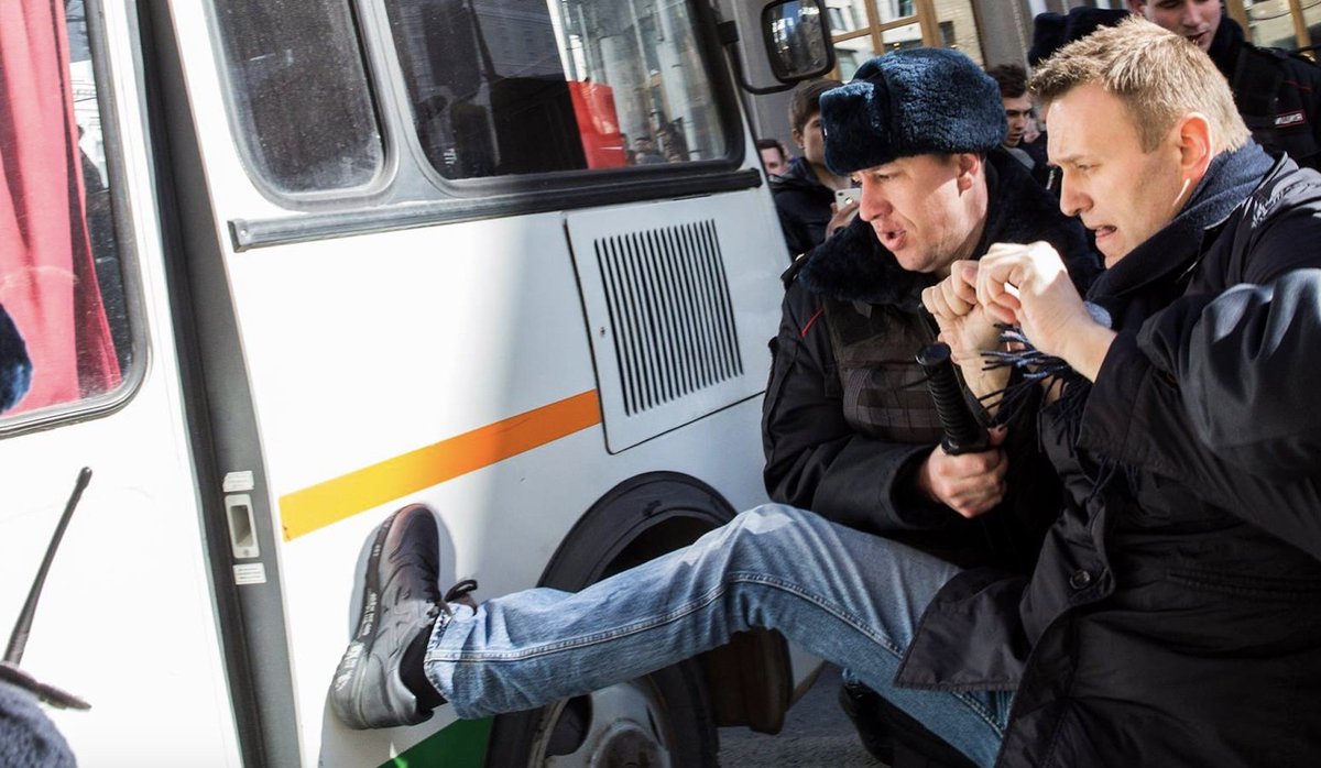 Vladlen Los tweet media