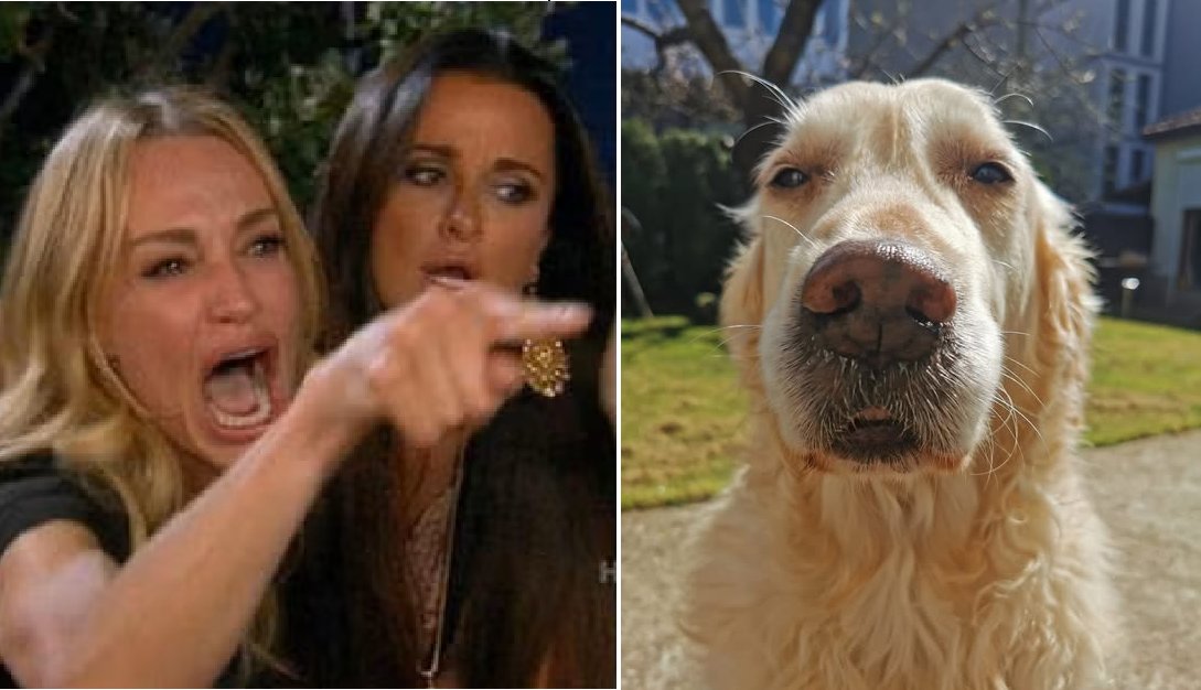 Георги Илиев tweet media