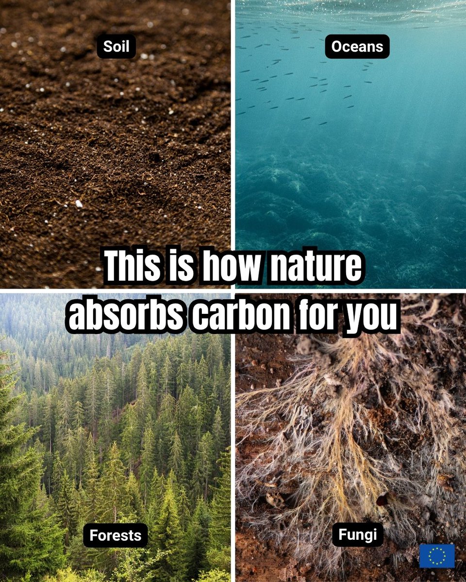 EU Environment tweet media