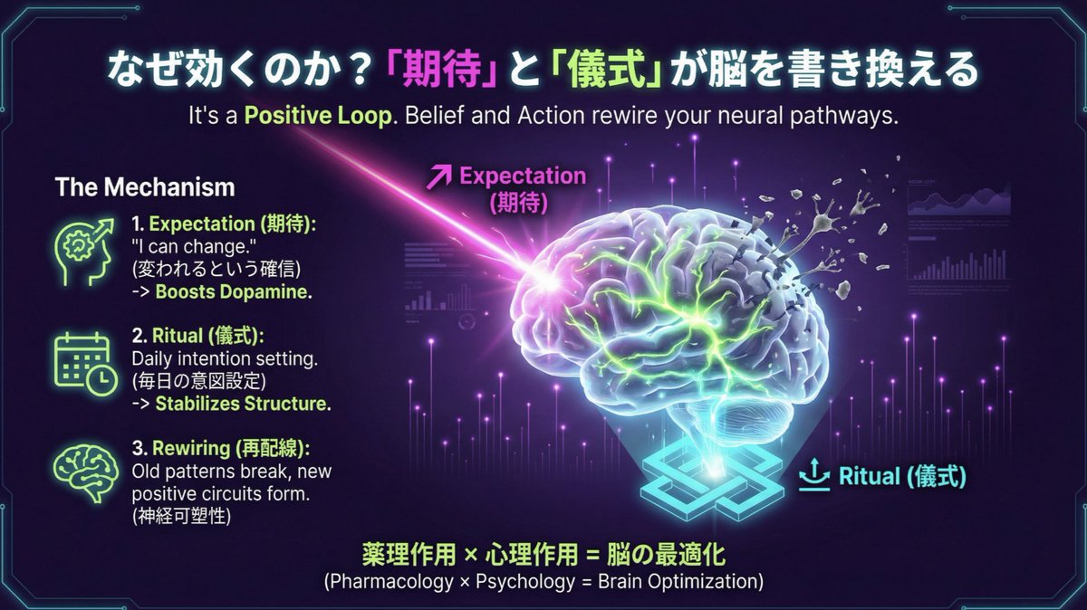 TripCore®︎公式 tweet media