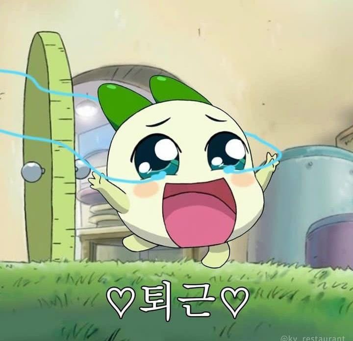 마리링🌸 tweet media