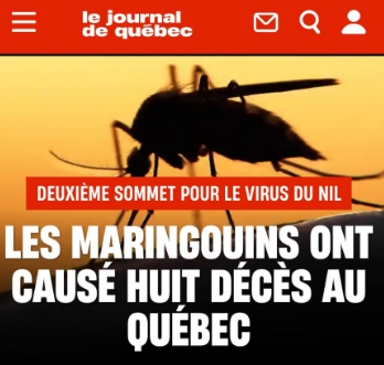 INDÉCRASSABLE QUÉBEC tweet media