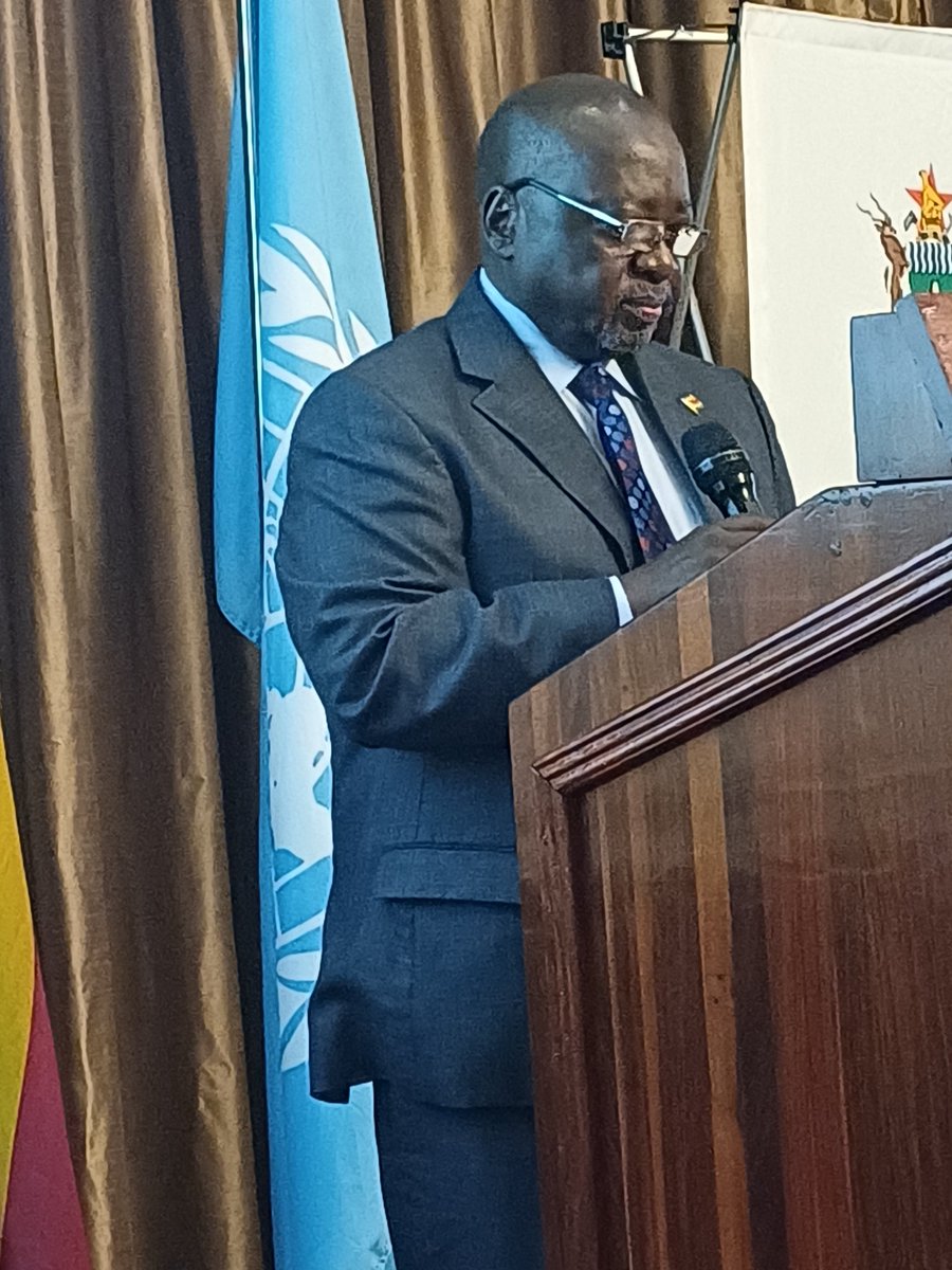 UN Zimbabwe tweet media