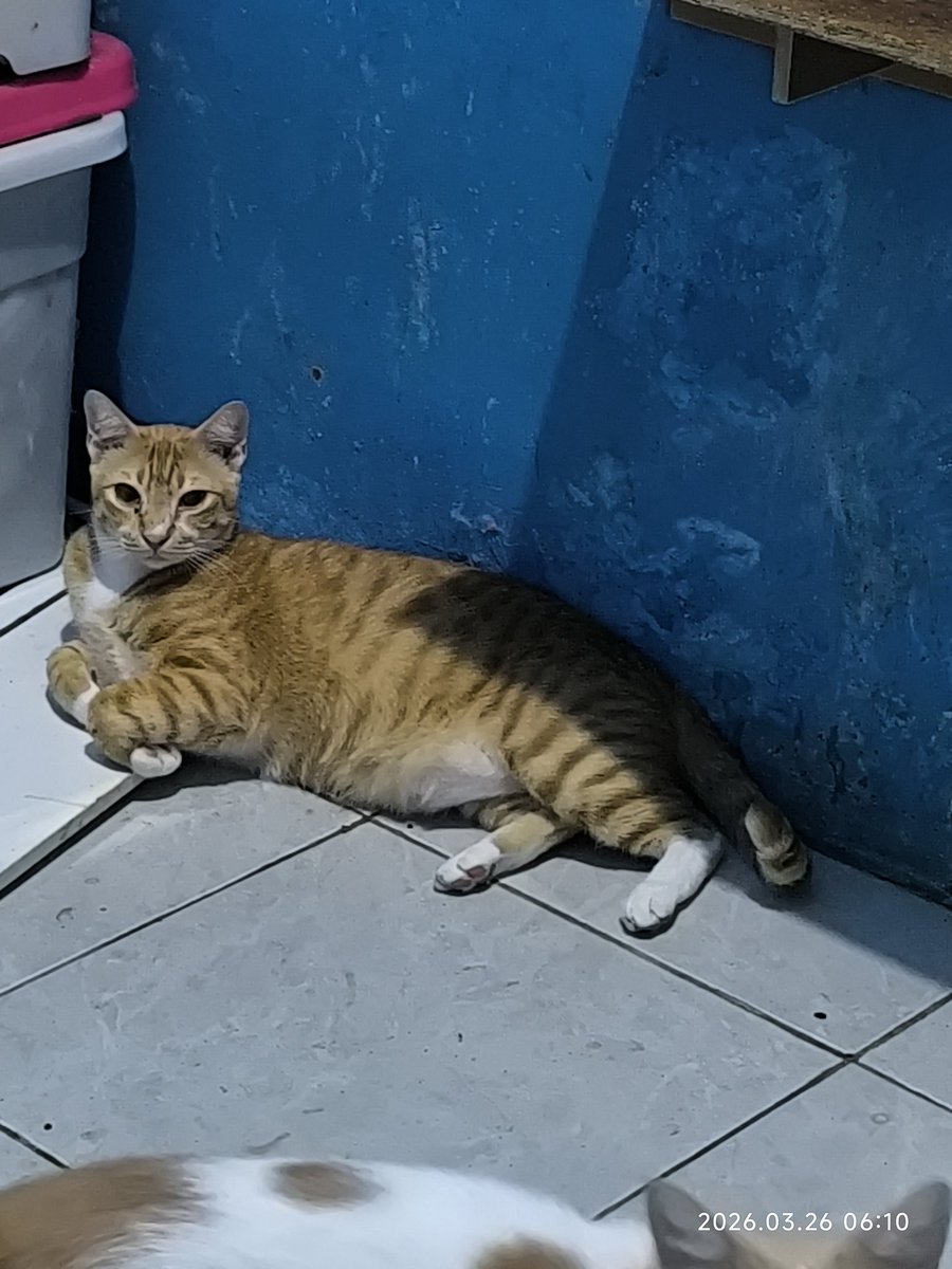 Vita❤️SHIN tweet media