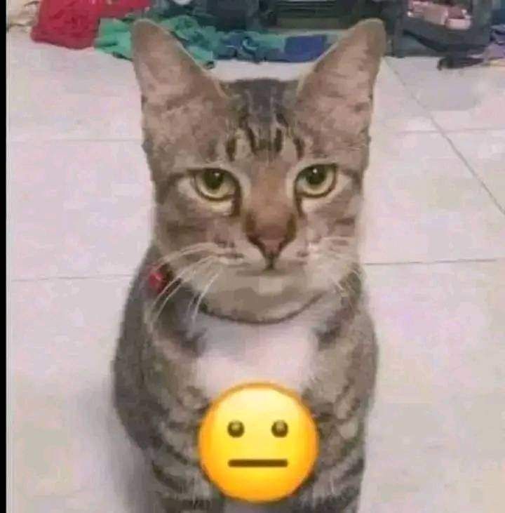 kiramman's tweet media