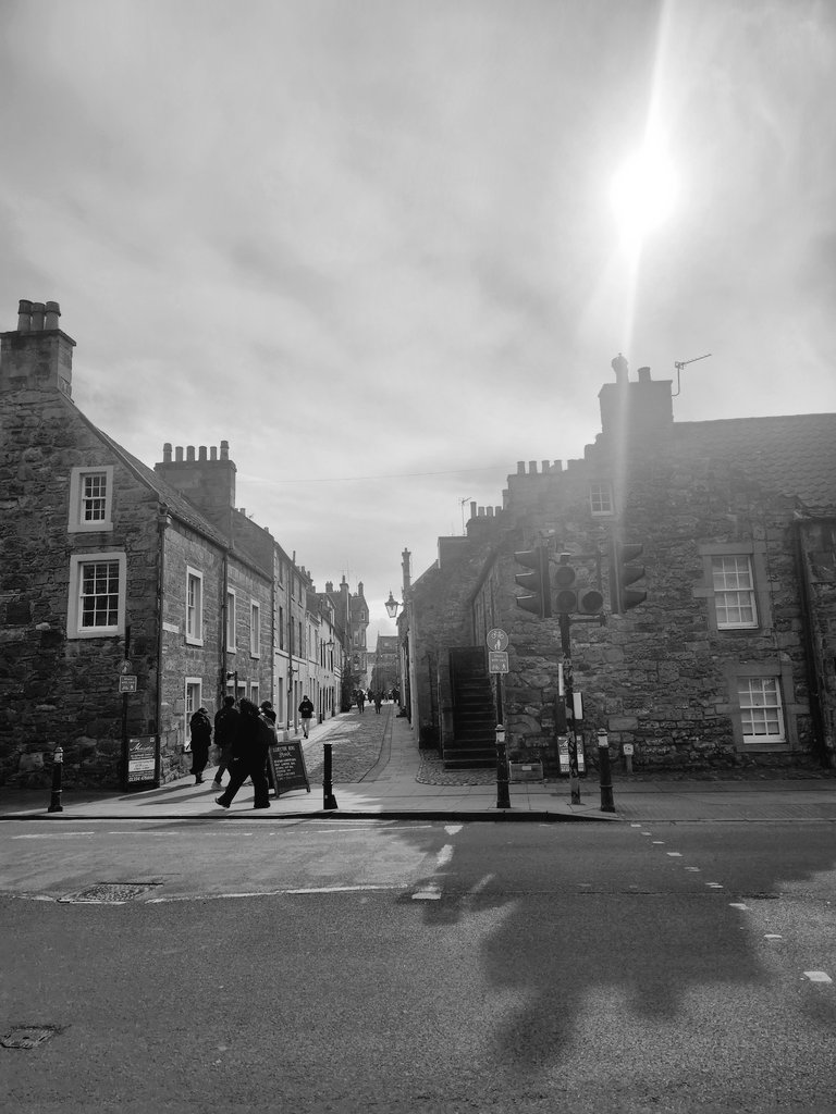 Aleksandra J. Hannah tweet media