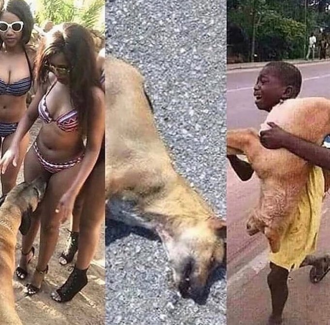 Azhagendharan S tweet media