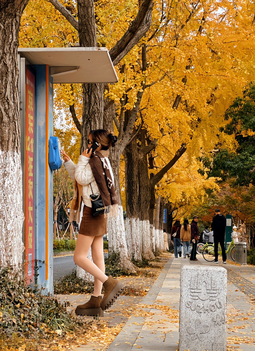 Michael Gavin tweet media